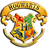 hogwarts-wizards